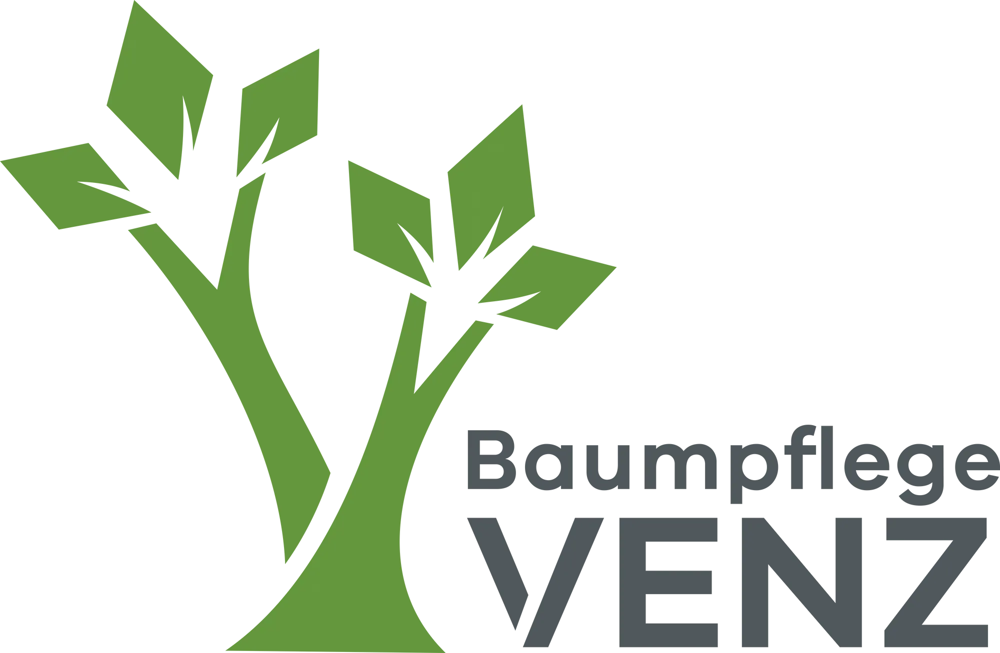 Baumpflege Venz