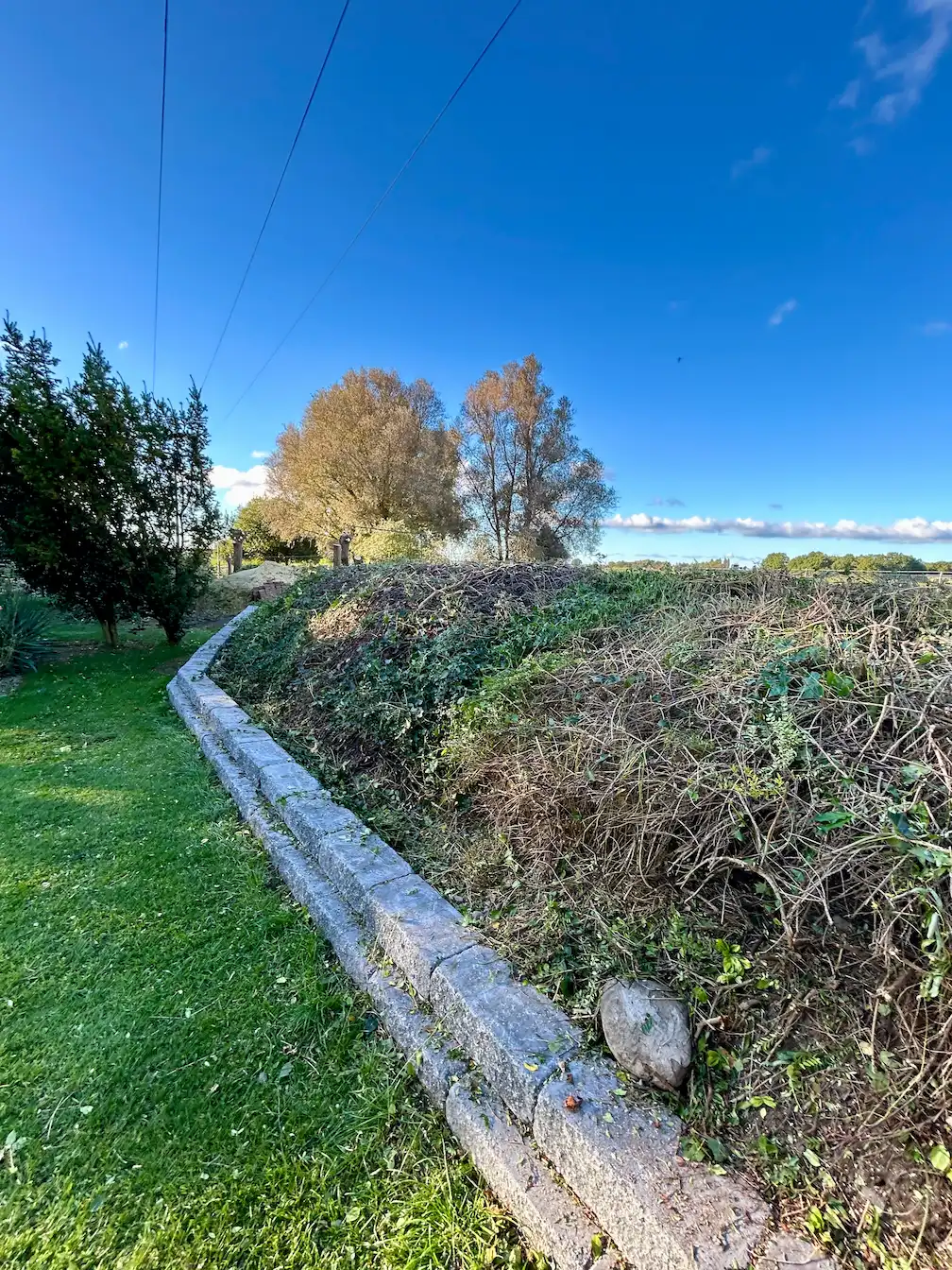 Rückschnitt einer Laub-Hecke in Rostock