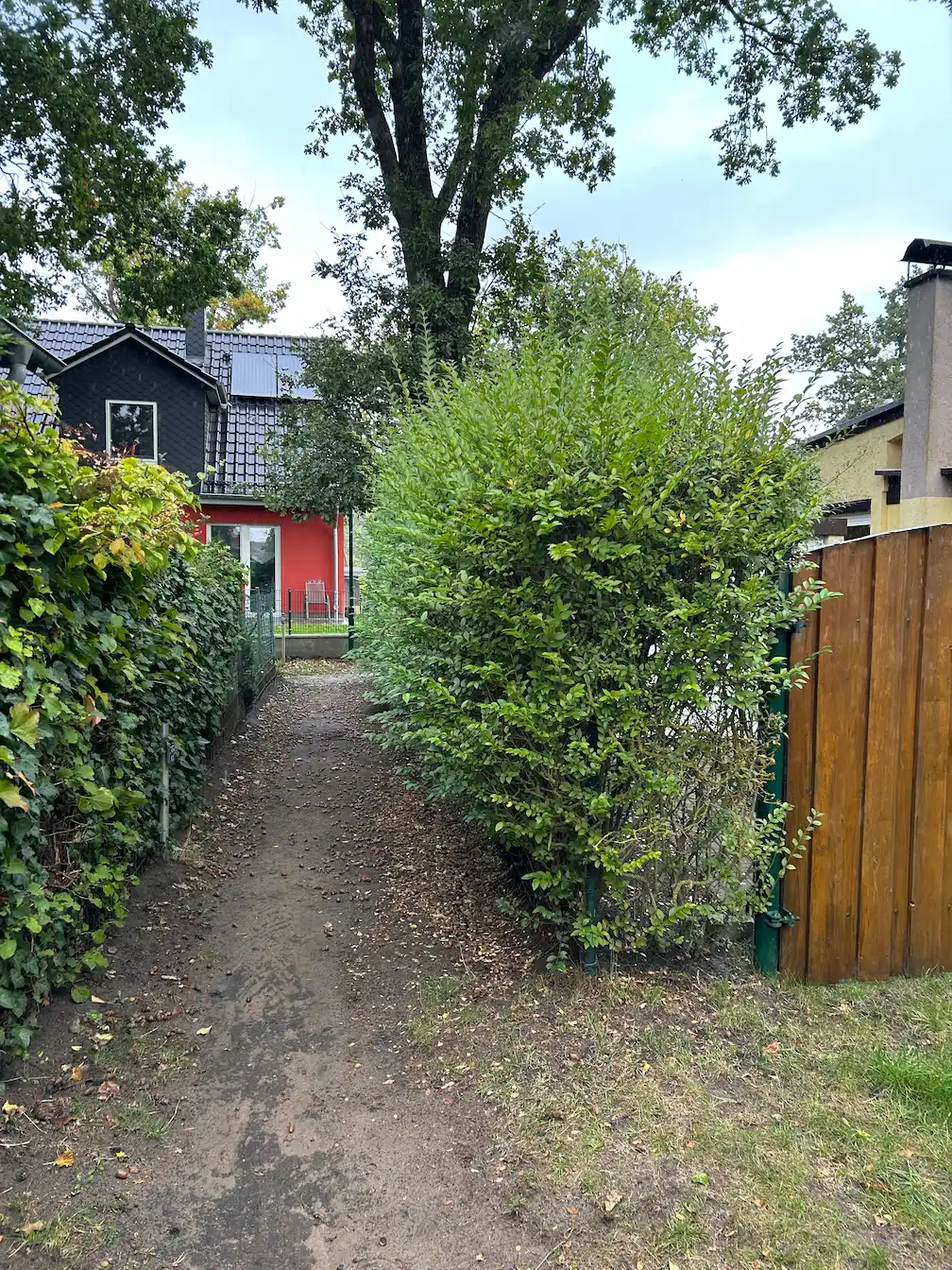 radikalschnitt hecke in graal müritz