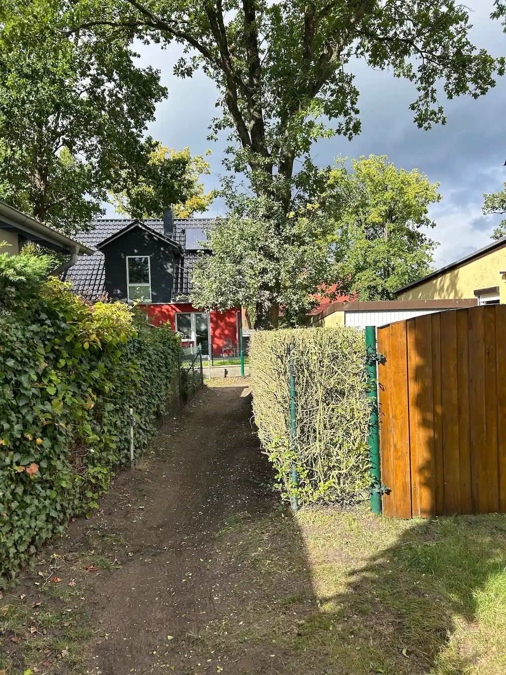radikalschnitt hecke in graal müritz
